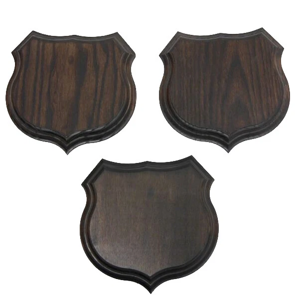 3x Wappenschilder Placa de Jabalí Af 15cm Jabalí Placa Jabalí Escudo de Trofeo