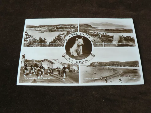 Old Photo Postcard, A Wee Scotch Frae Oban, 4 Views, Westie Dog, Argyll + Bute