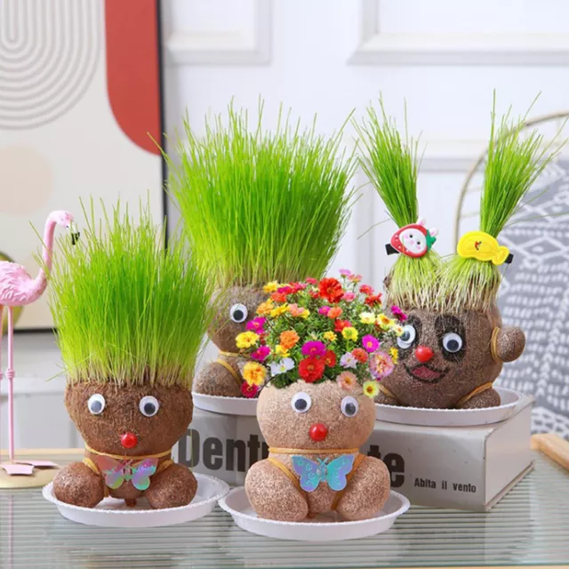 Grass Doll Grass Head Flowering Doll Creative Head Long Grass Hydroponic Flowe