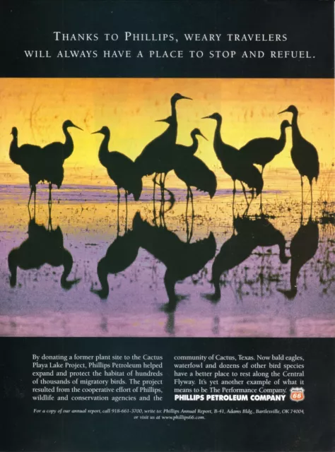 Birds on Cactus Playa Lake--Phillips Petroleum--1999 Print Ad