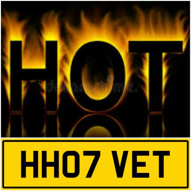 Hot Vet! Ann Amy Lee Sam Jo Private Registration Cherished Number Plate Hh07 Vet