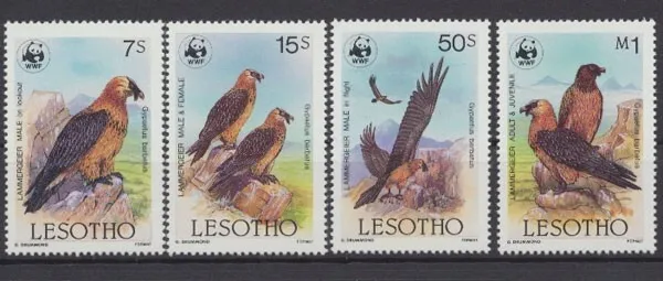 Lesotho, Vögel, MiNr. 556-559, postfrisch - 690780