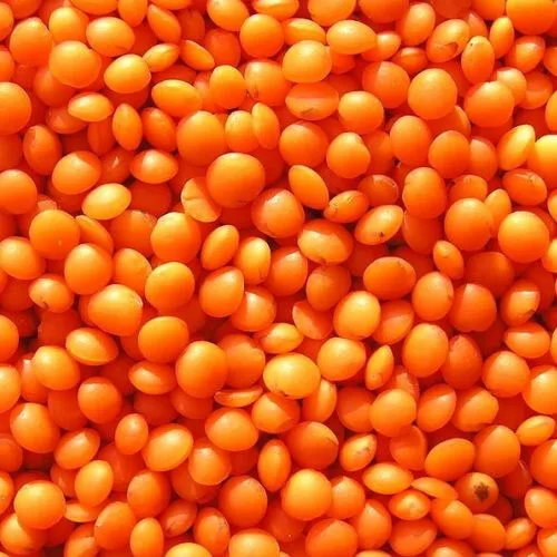 1kg Red Lentils Split Masoor Dal - Top Quality Lentils Spices Bulk Fresh