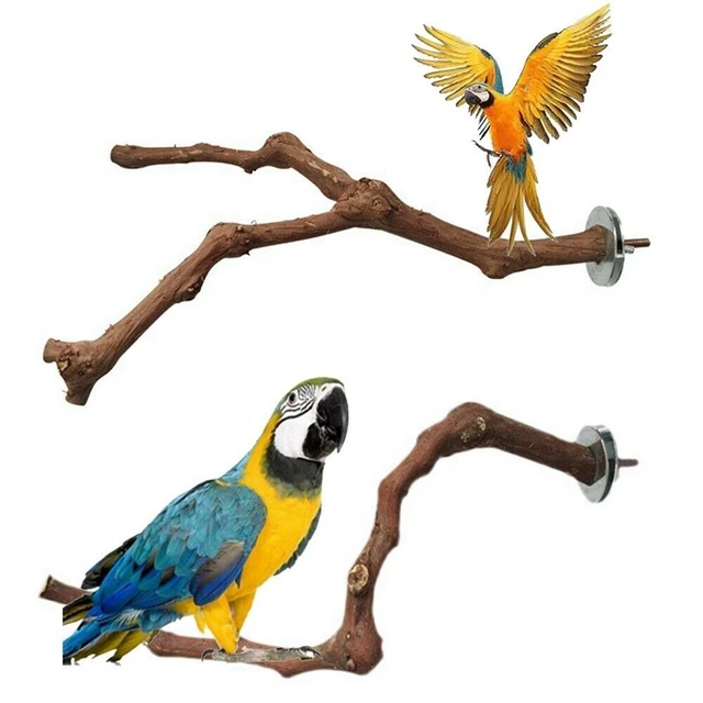 Spielzeug Papagei Holzzweig Holz Papagei Vogel Stand Barsch-Plattform-Ständer