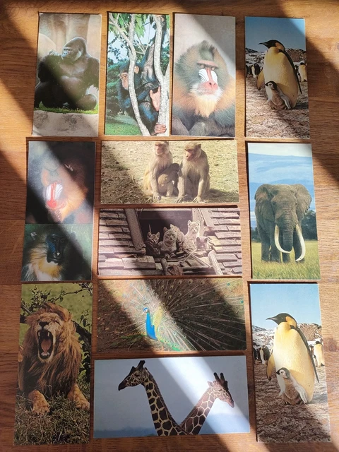 Lot De 20 Cartes à Collectionner Nestlé – Merveilles Du Monde – Numéros 37 à 545 – État Très Bon