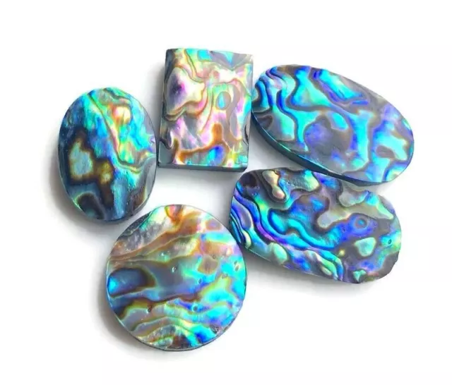 Abalone Shell Cabochons 18-25mm Approx, 5 Pcs Lot Same As Picture 59020