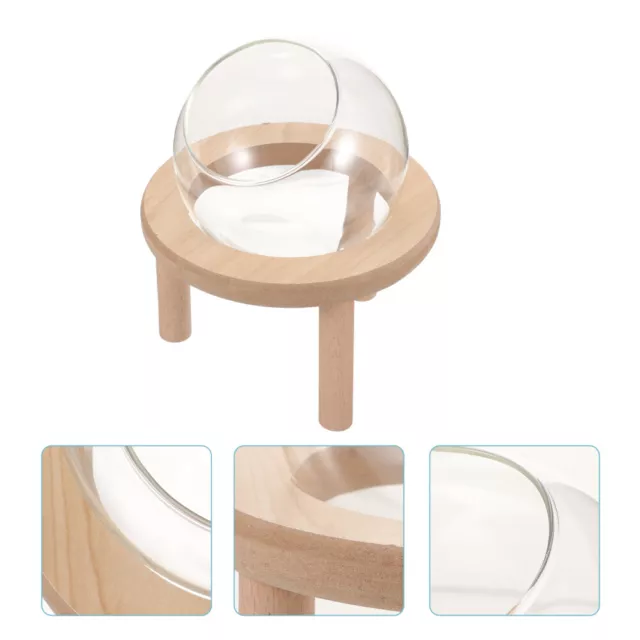 Small Hamster Sand Bath Container Glass Box Pet Supply-IQ