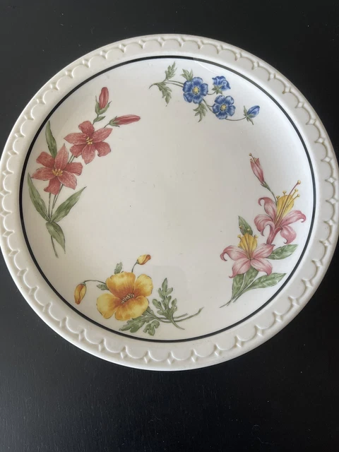 Southern Pacific Prairie Mountain Wildflowers Plate Syracuse China Econo-Rim 9.5