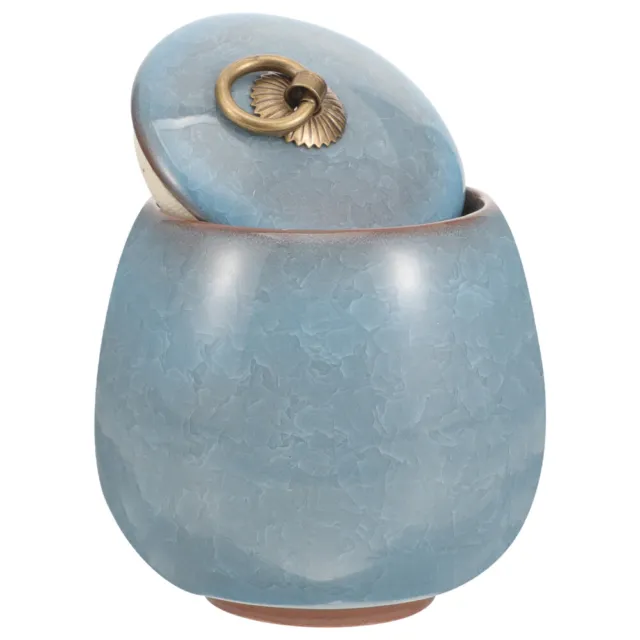 Medium Urn Ceramics Pet Urns for Mom Ashes Mini Keepsake Small Mother Pot Seal