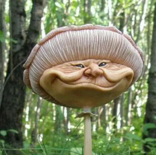 Fairy Garden Accessories-1 x 10cms Funny Face Mushroom 3-5days delivery.