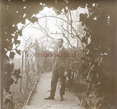 Homme au Jardin Photo Plaque de verre Stereo Vintage V17T12n