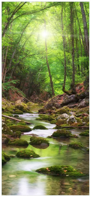 Wallario selbstklebende Türtapete Türposter Fluss Wald Moos Kiesel Sonne Bäume