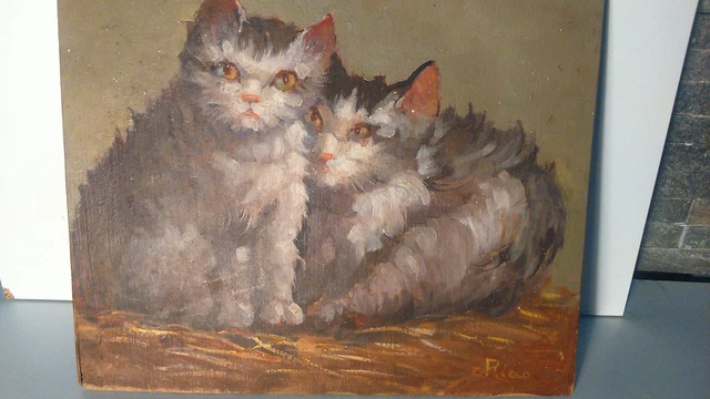 huile sur panneaux deux chats signée. Oil on panels two cats signed