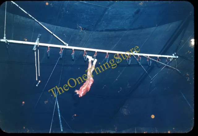 Beers Barnes Circus Acrobat Performer Woman Walking Upside Down 1960s 35mm Slide