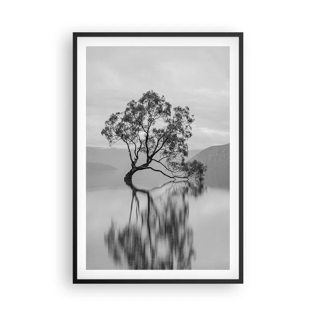 Affiche Avec Des Fleurs Et Des Plantes En Noir Et Blanc Oiseau Du