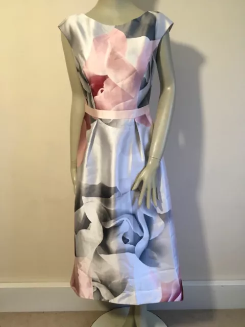 Ted baker riina porcelain rose dress deals