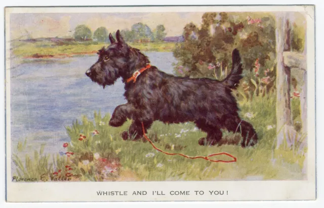 SCOTTISH TERRIER 1930's VALENTINES ISSUE OLD DOG ART POSTCARD by FLORENCE VALTER