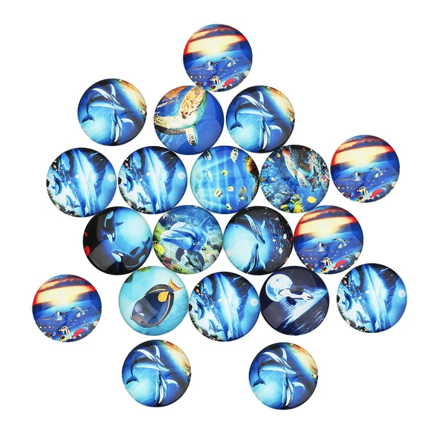 20 Stück Glas Dome Cabochons Runde Cabochons Fliesen Marine Life Picture