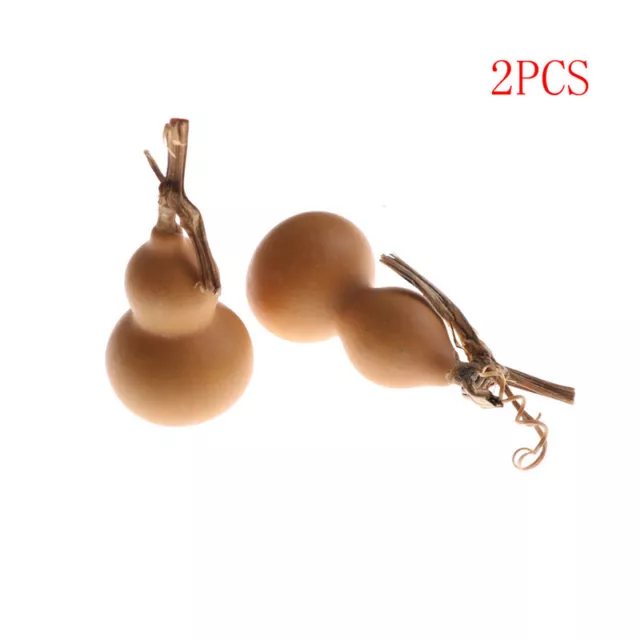 2pcs 40mm-60mm Natural Random Dry Gourd Crafts Arts CollectionLD gvAGAH  WB