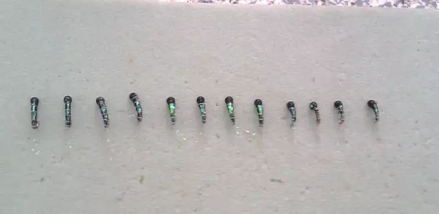 1 Doz Beadhead BLACK ZEBRA midge nymphs Trout fly fishing Sz assort 16-18-20