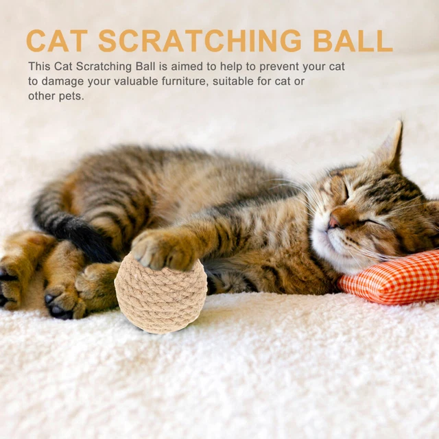 4 Pcs Cat Training Toy Catnip Cat Scratch Indoor Toys Sports Toys Kitten 7