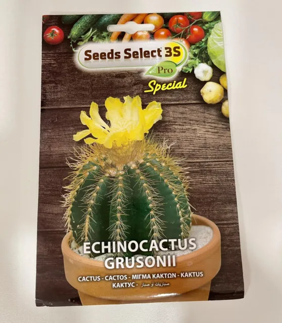 Semi di Echinocactus grusonii (Cuscino della suocera)