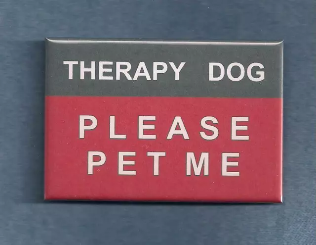 THERAPY DOG PLEASE PET ME  - therapy dog vest button w/pin back
