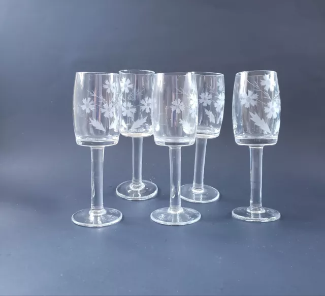 Cordial Liqueur Stemmed Glassware Frosted Etched Flowers 5.5 inches 2 oz Five