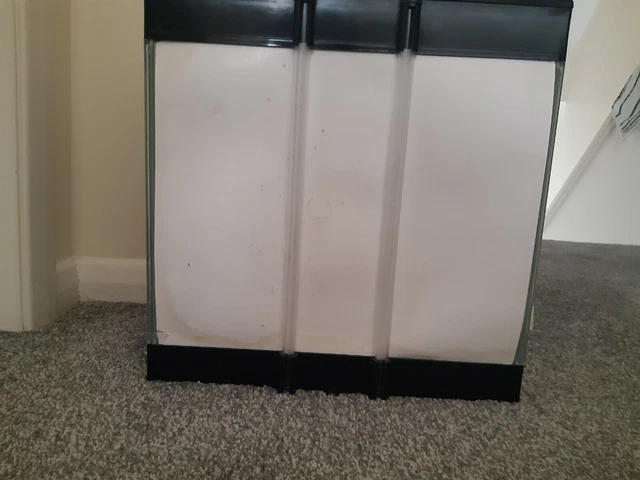fish tank 2