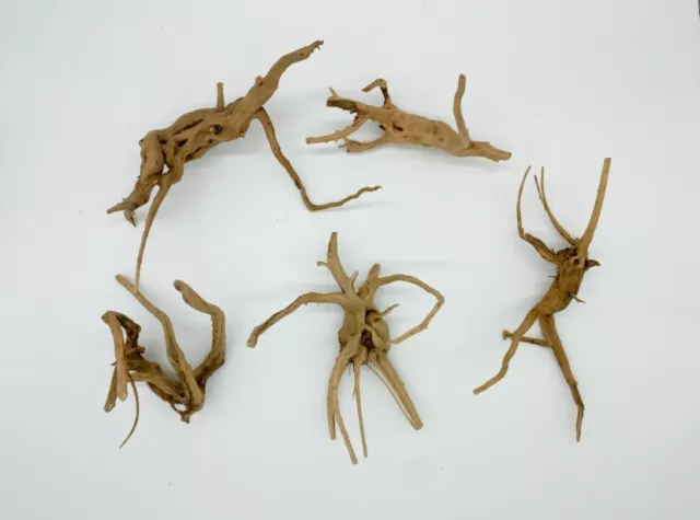 6Pcs Aquarium Driftwood Spider Wood Ornament for Fish Tank Natural Branc
