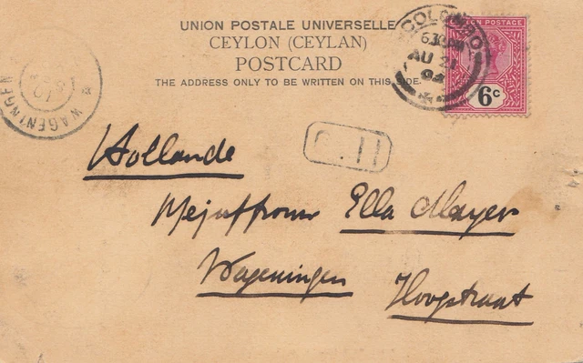 Ceylon: 1905: post card Colombo to Hollande