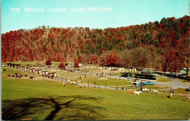 Allentown PA Trexler-Lehigh County Game Preserve Postcard unused (18077)