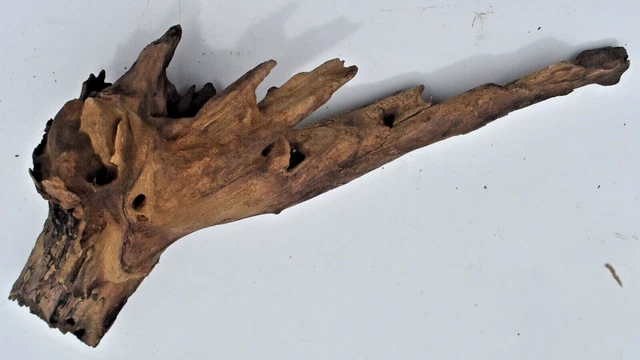 Driftwood Natural Tree Trunk Aquarium Fish Tank Reptile Deco Length 11 inches
