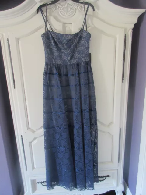 NWT Vera Wang Navy Blue Sheer Floral Lace Satin Striped Gown Dress 8 $295