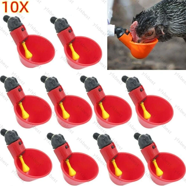 10PEZZI Automatico Mangiatoia per pollame Acqua potabile Tazze per Pollame Pollo