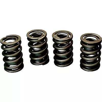 Jim's Machining Valve Spring Set 1356