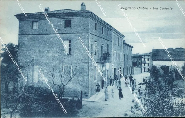 cf335 cartolina avigliano umbro via tuderte provincia di terni umbria