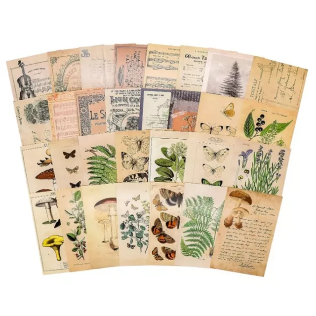 Paper Postcard Set Botanical Card Props Retro Style   Office