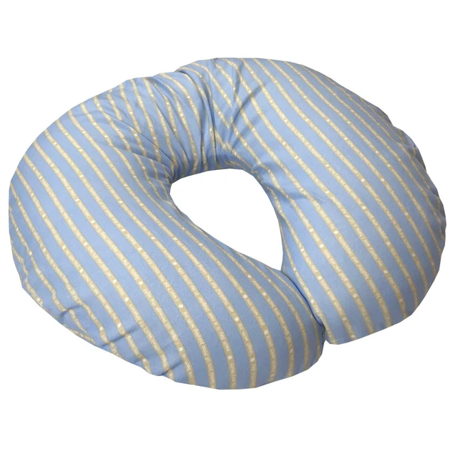 Organic Cotton Nursing Pillowcases - Blue Baby Talk Flannel