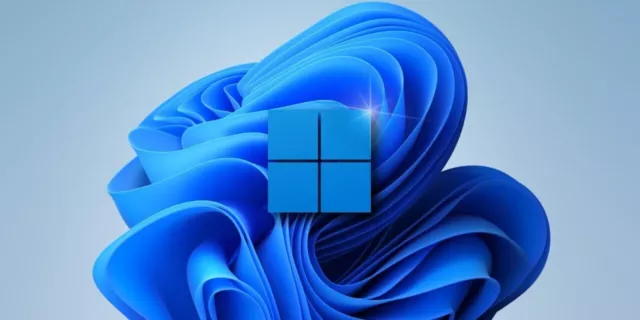 windows 11 flash install