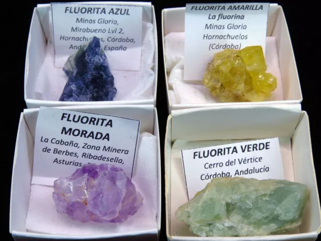 Pack de 4 Fluoritas en 4 colores en cajas de 4x4cm/minerales de colección