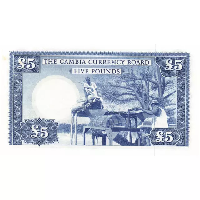 Gambia 5 Pounds 1975