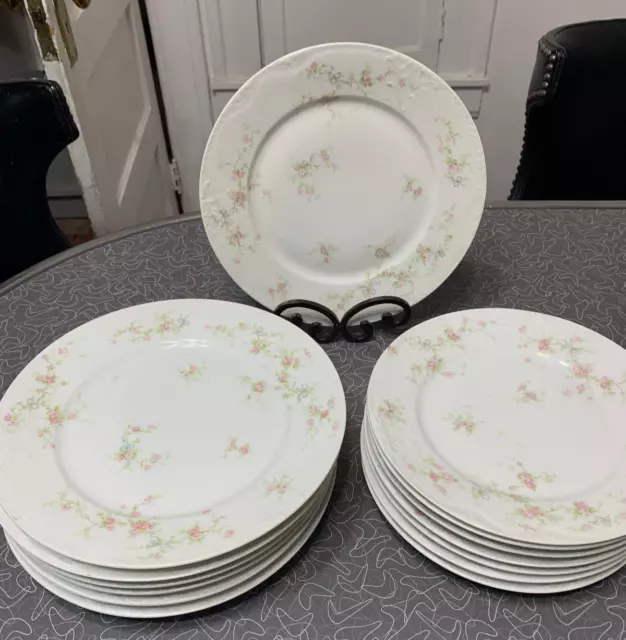 Schleiger 161a 7 Limoges France Theodore Haviland “MARIE” Dinner Plates 10"