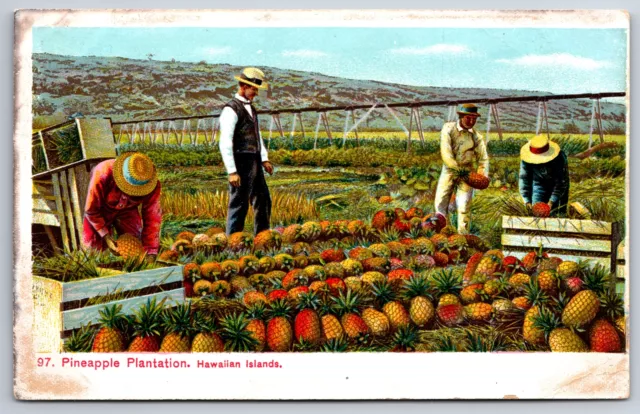 Hawaiian Islands~Foreman & Workers @ Pineapple Plantation~Irrigation Equipment