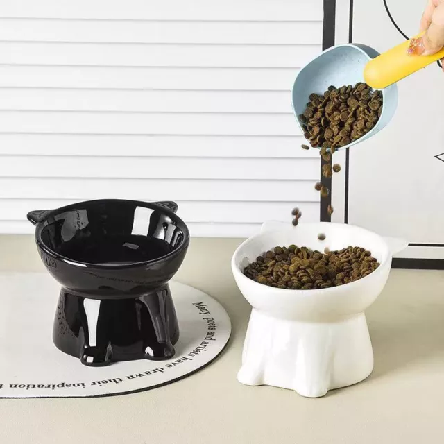 Neat Feeder Express | backflows-Proof Elevated Pet Bowls for Cats & Dogs