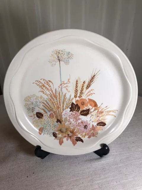 Vintage Poole Pottery Summer Glory Dinner Plate 27cm VGC (more available)