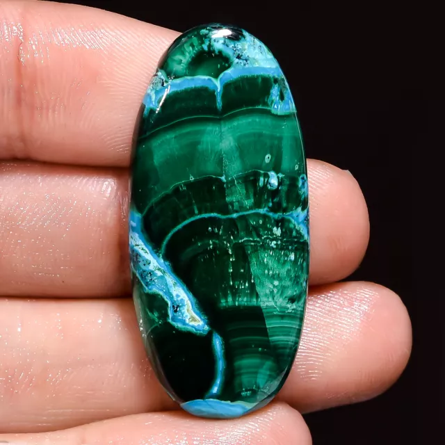 45.00 Cts. Natural Fantastic Malachite Chrysocolla Oval 40X18X5 MM Cab Gemstone