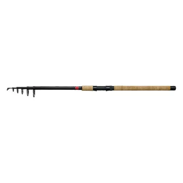 DAM Spezi Stick II Tele Eel 2,70m 25-75g Téléréglable Anguille Grundrute