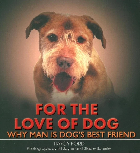 AUS LIEBE ZUM Hund Warum der Mensch der beste Freund des Hundes ist