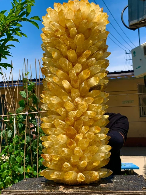 60.45LB  New Find yellow Phantom Quartz Crystal Cluster Mineral Specimen Healing